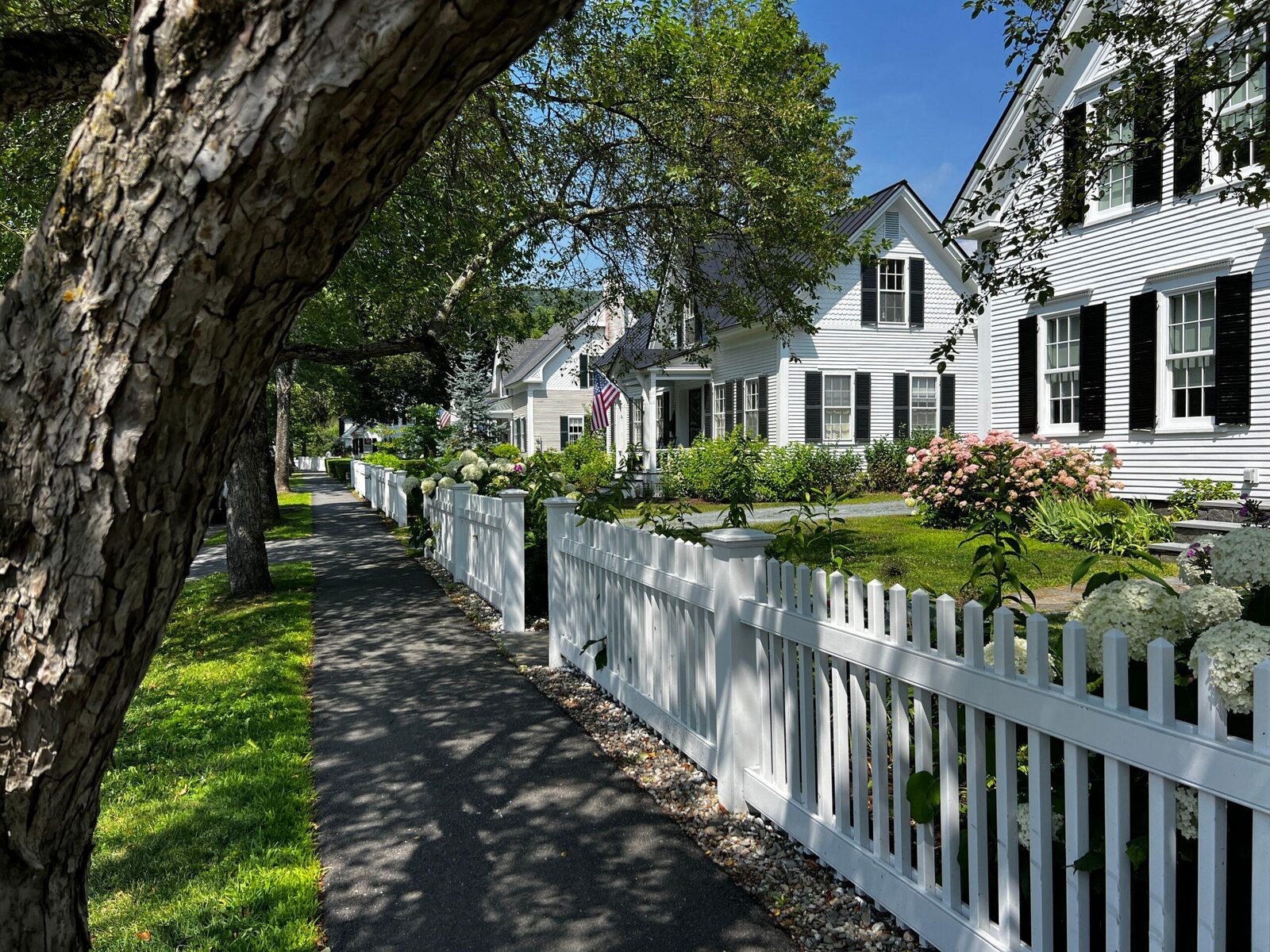 The exterior of a family home