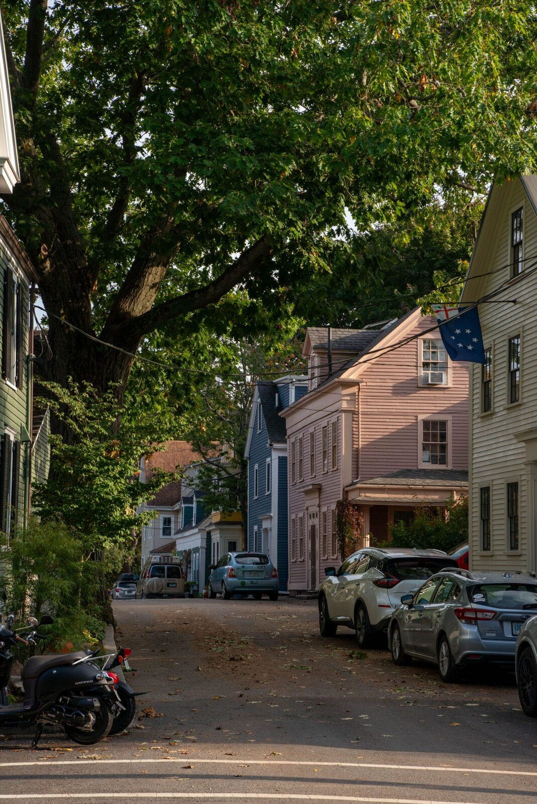 A home on a tree lined street