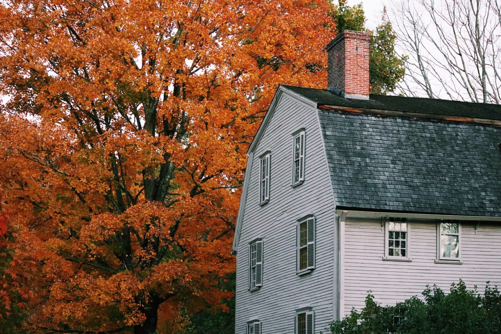 The exterior of a family home