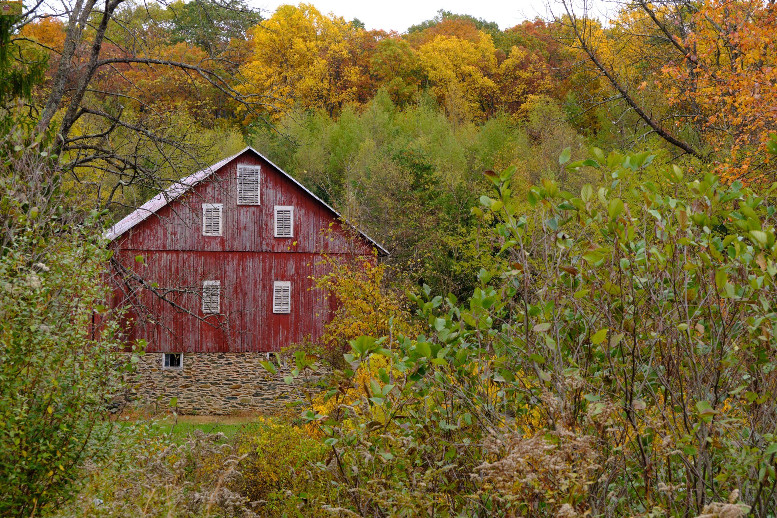 A rural cottage among trees