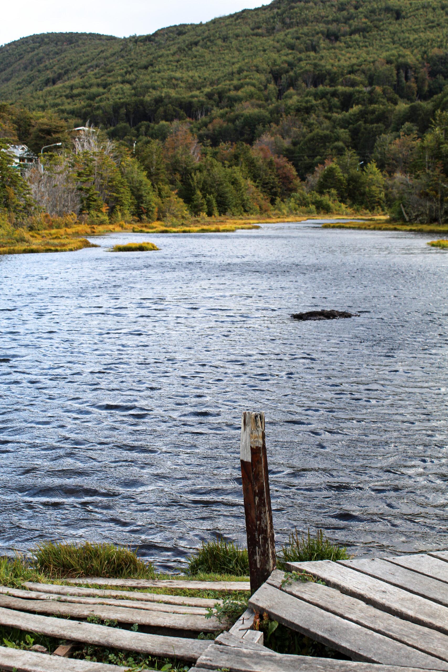 Houses near the water