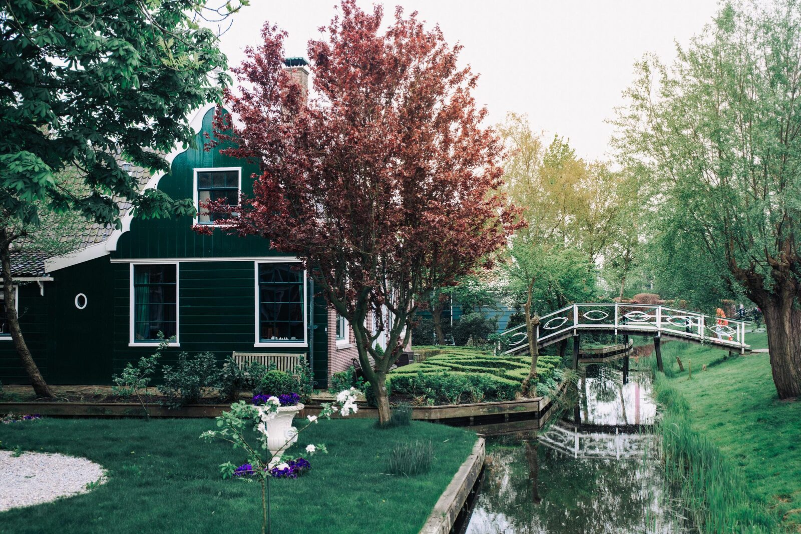 A rural cottage among trees