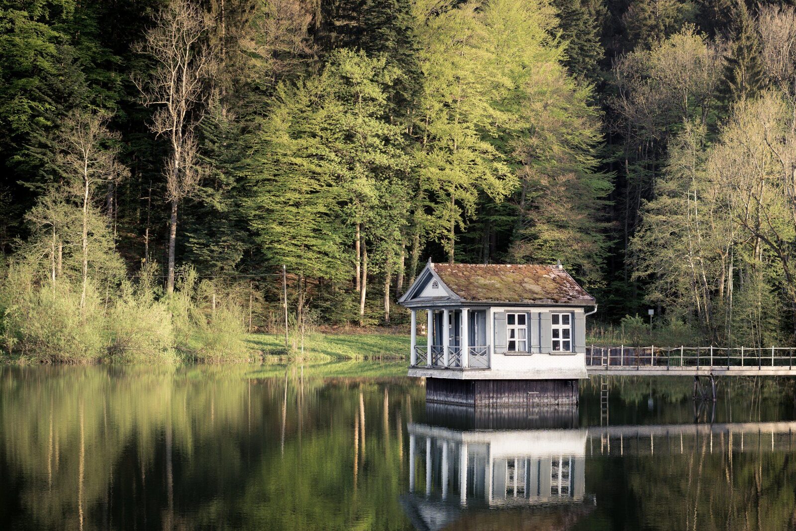 A single family home