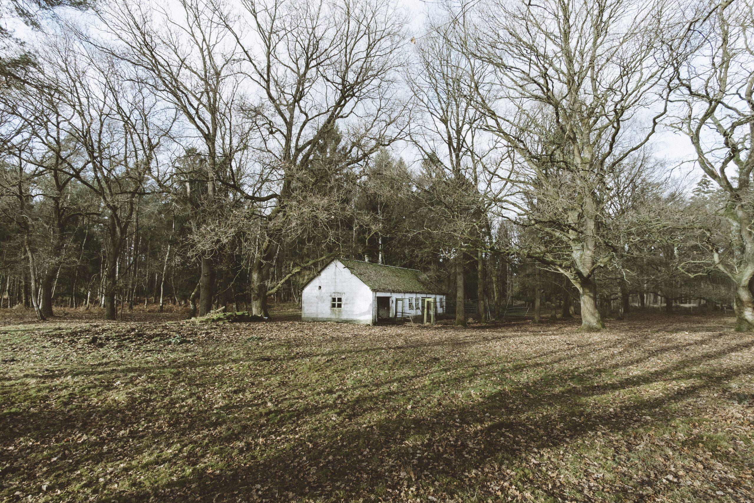 A single family home