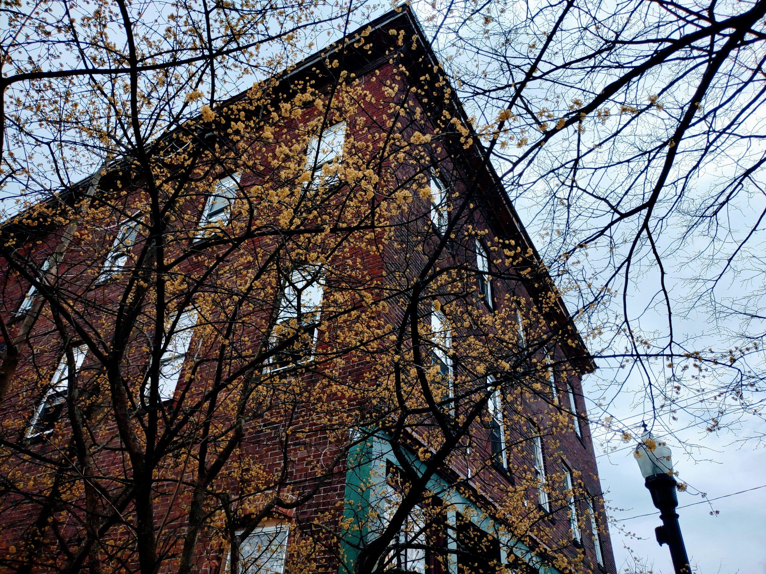 A residential street
