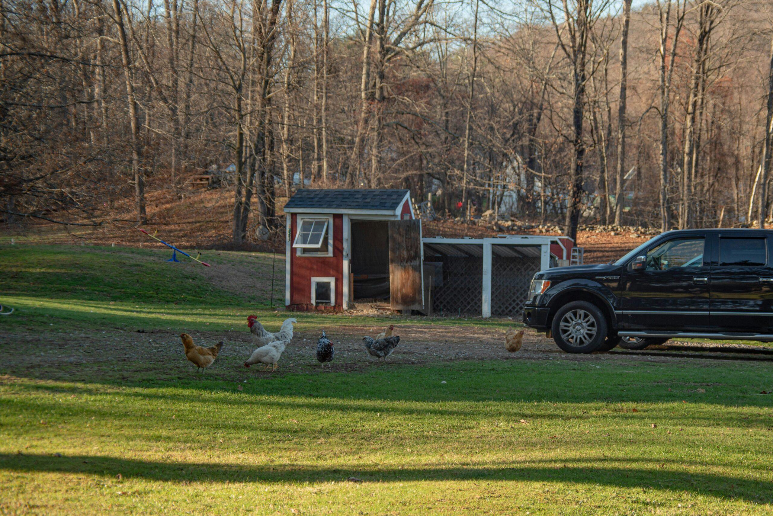 A suburban house and driveway
