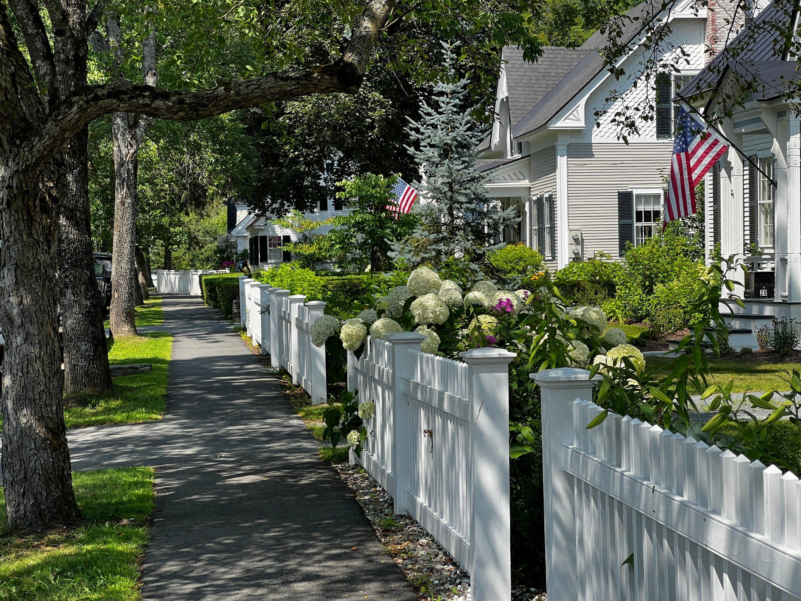 Houses on a quiet residential road