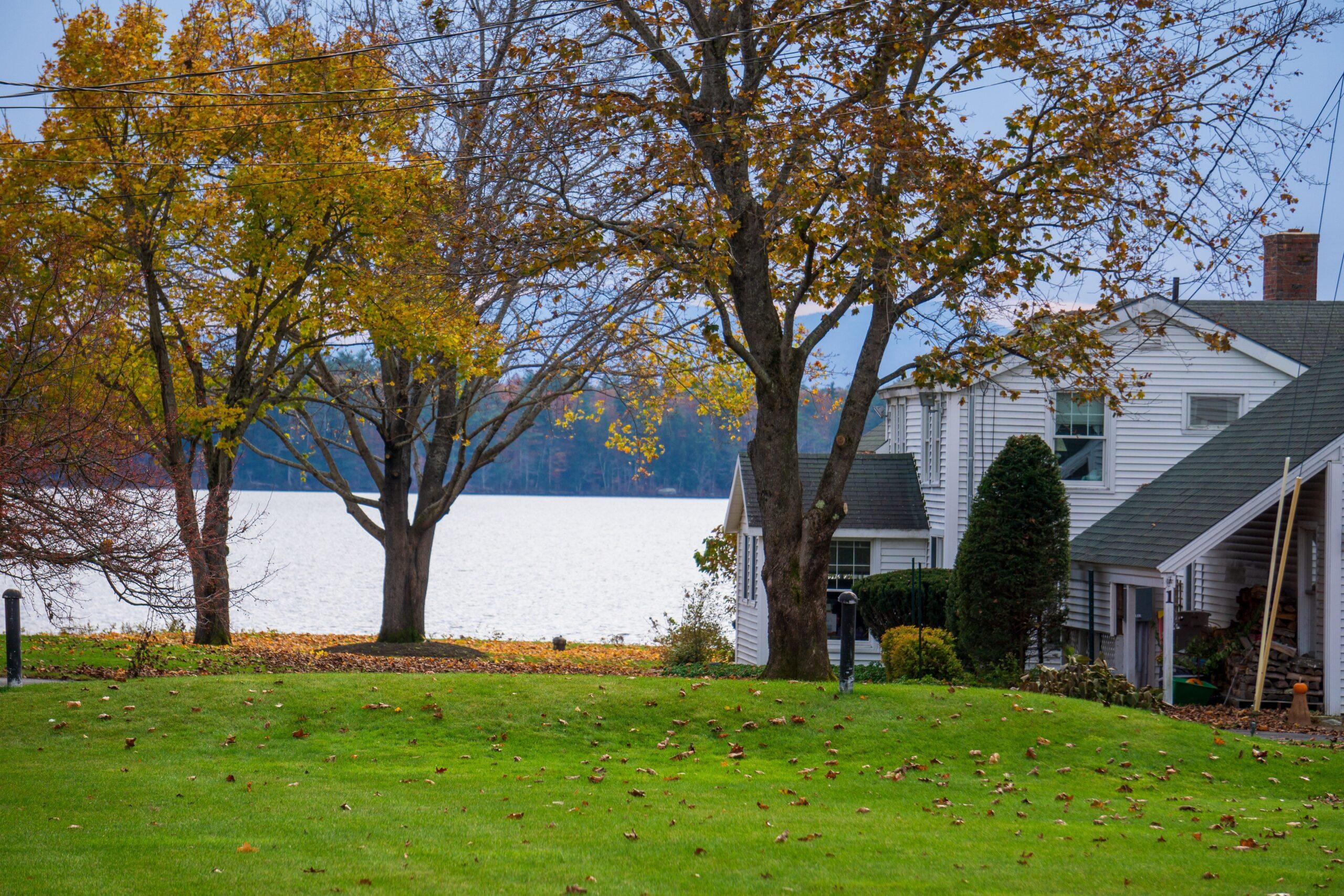 A suburban house and driveway