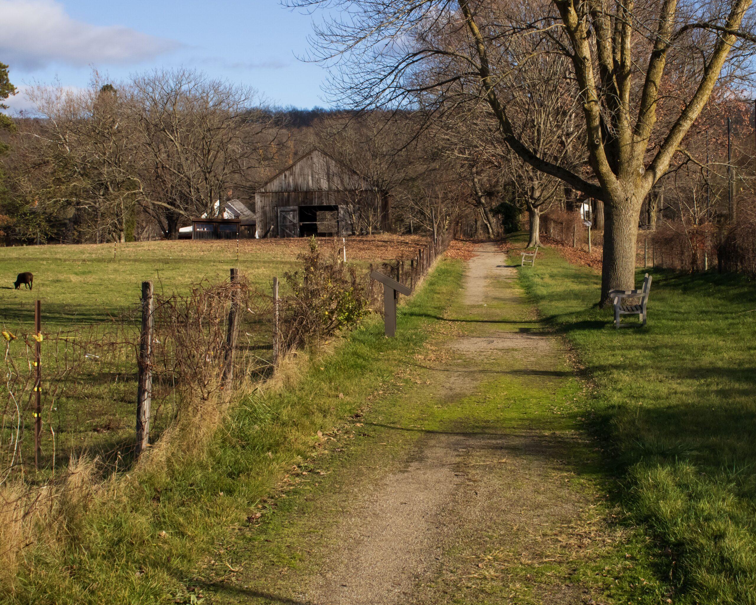 A residential street