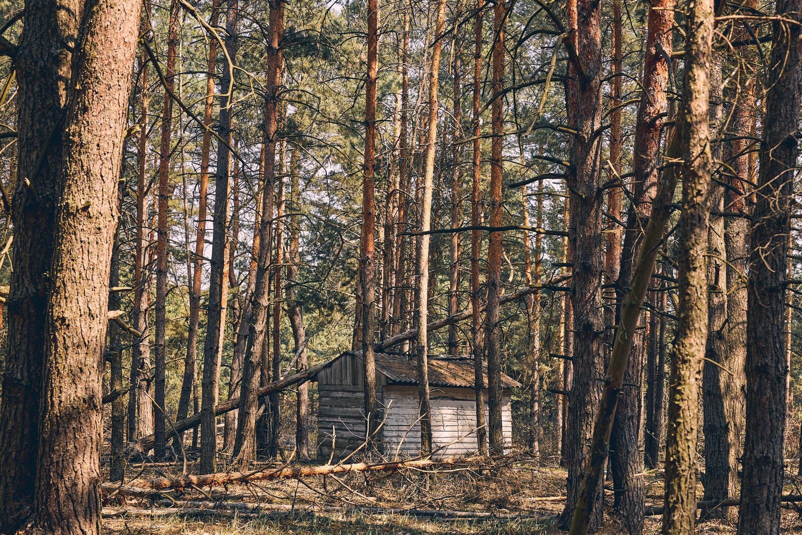 A single family home