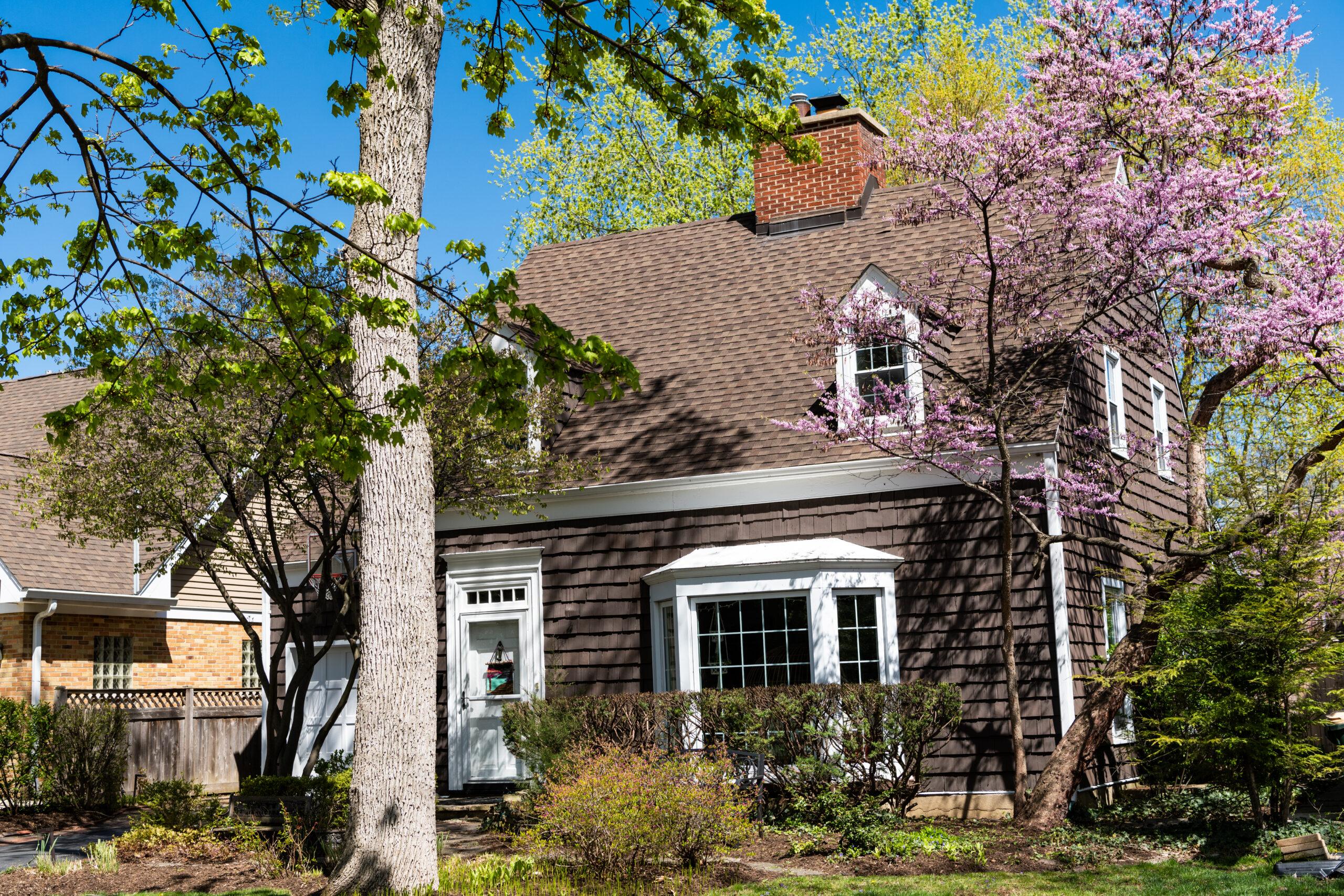 A rural cottage among trees