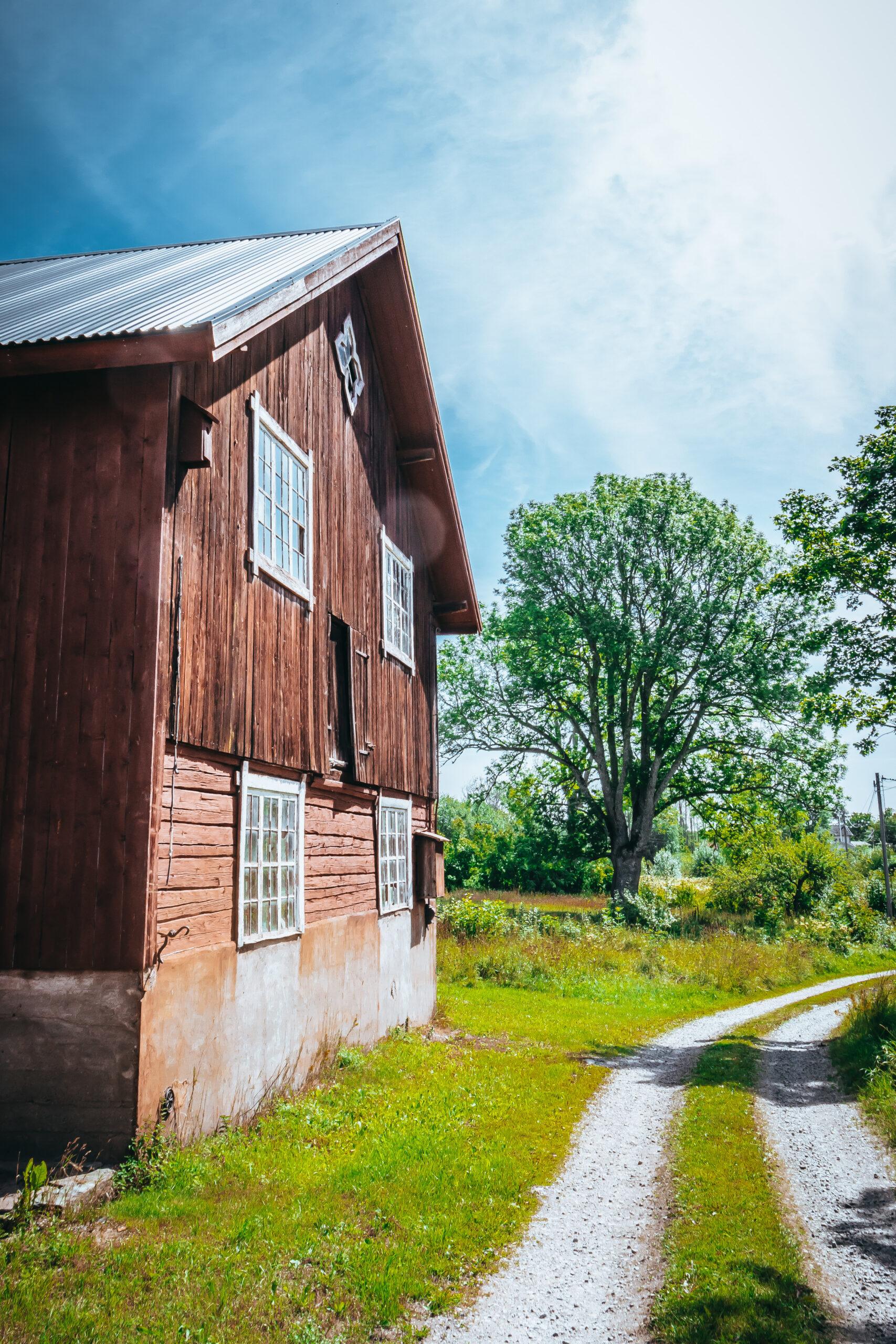A farmhouse and outbuildings