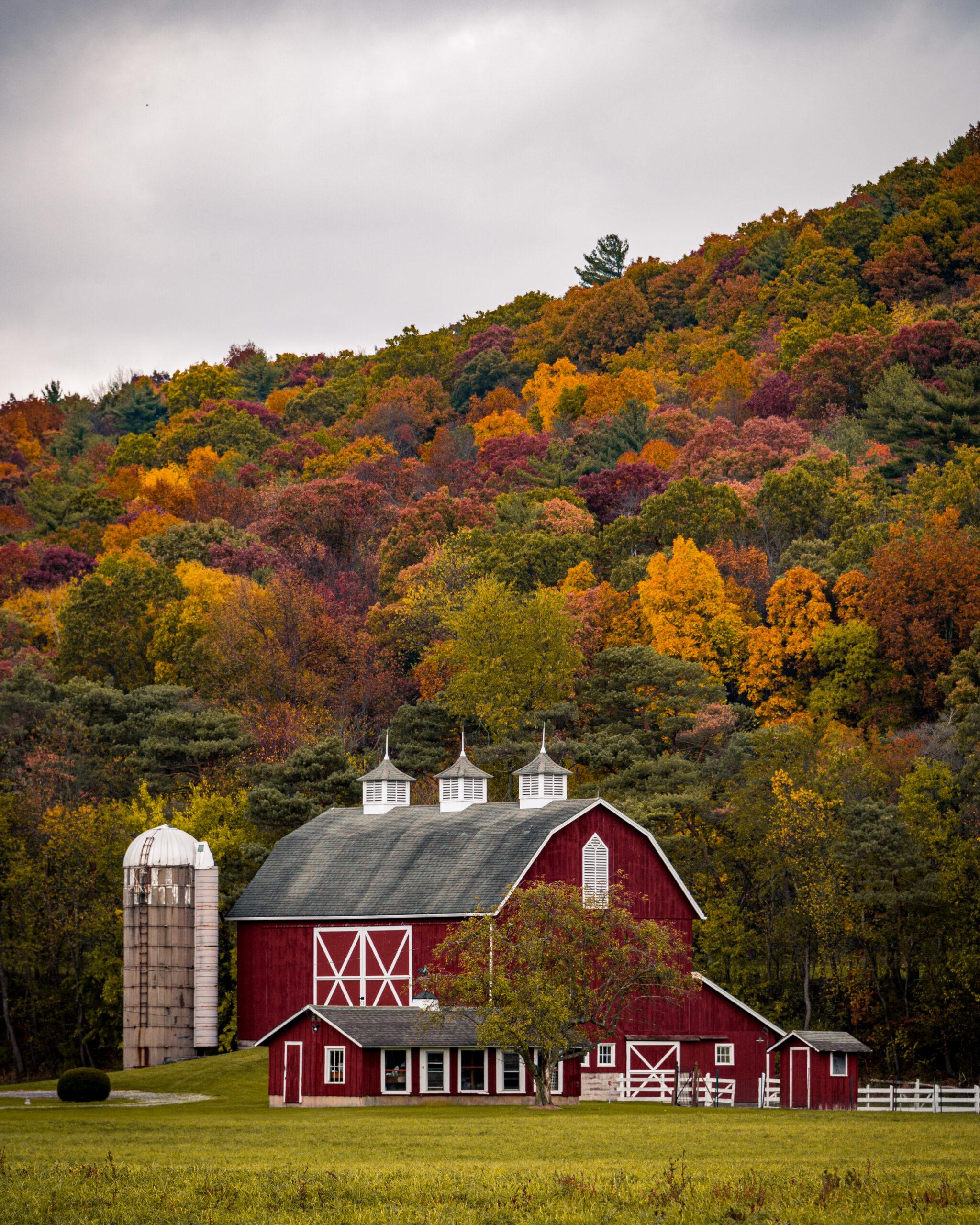 A farmhouse and outbuildings in autumn