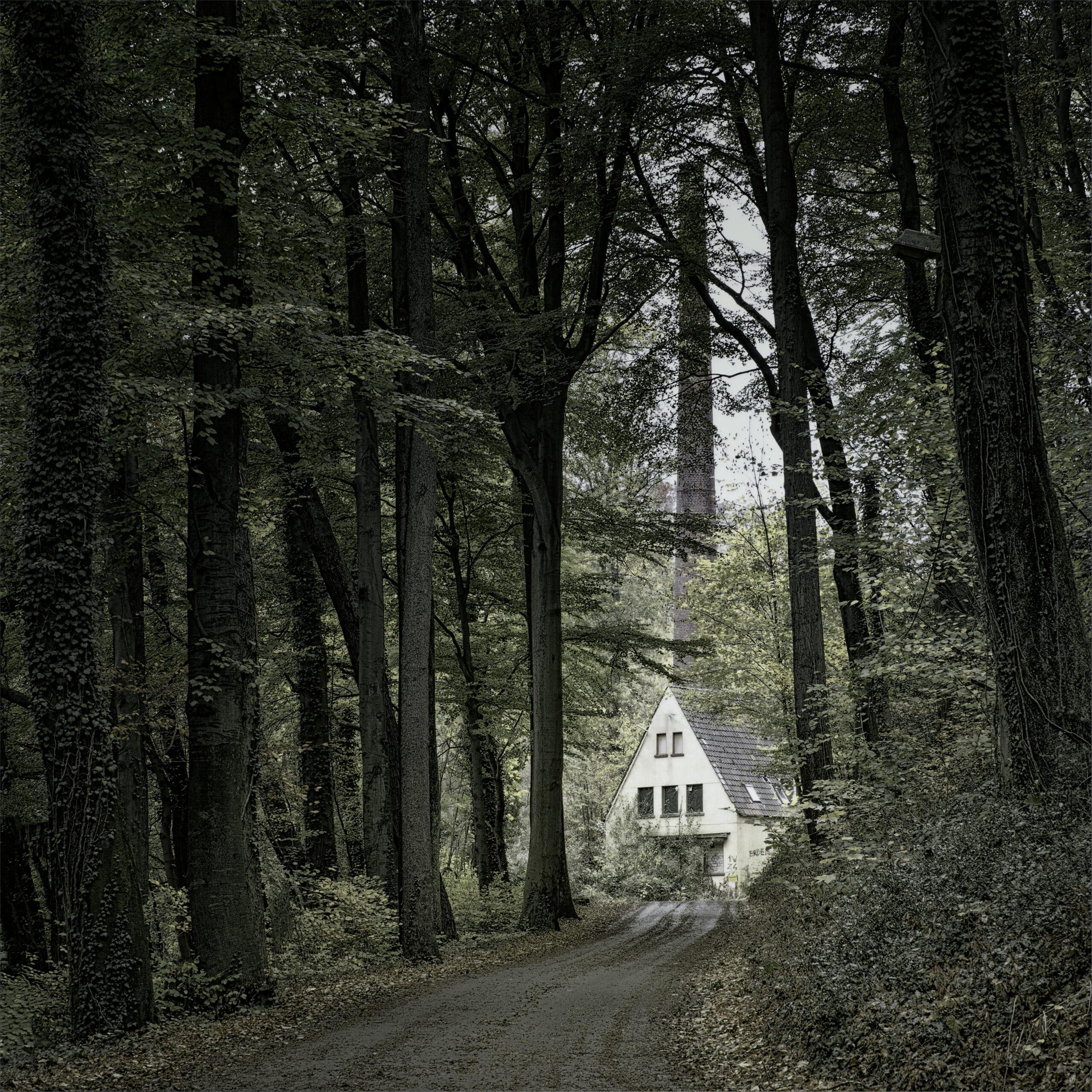 A rural cottage among trees
