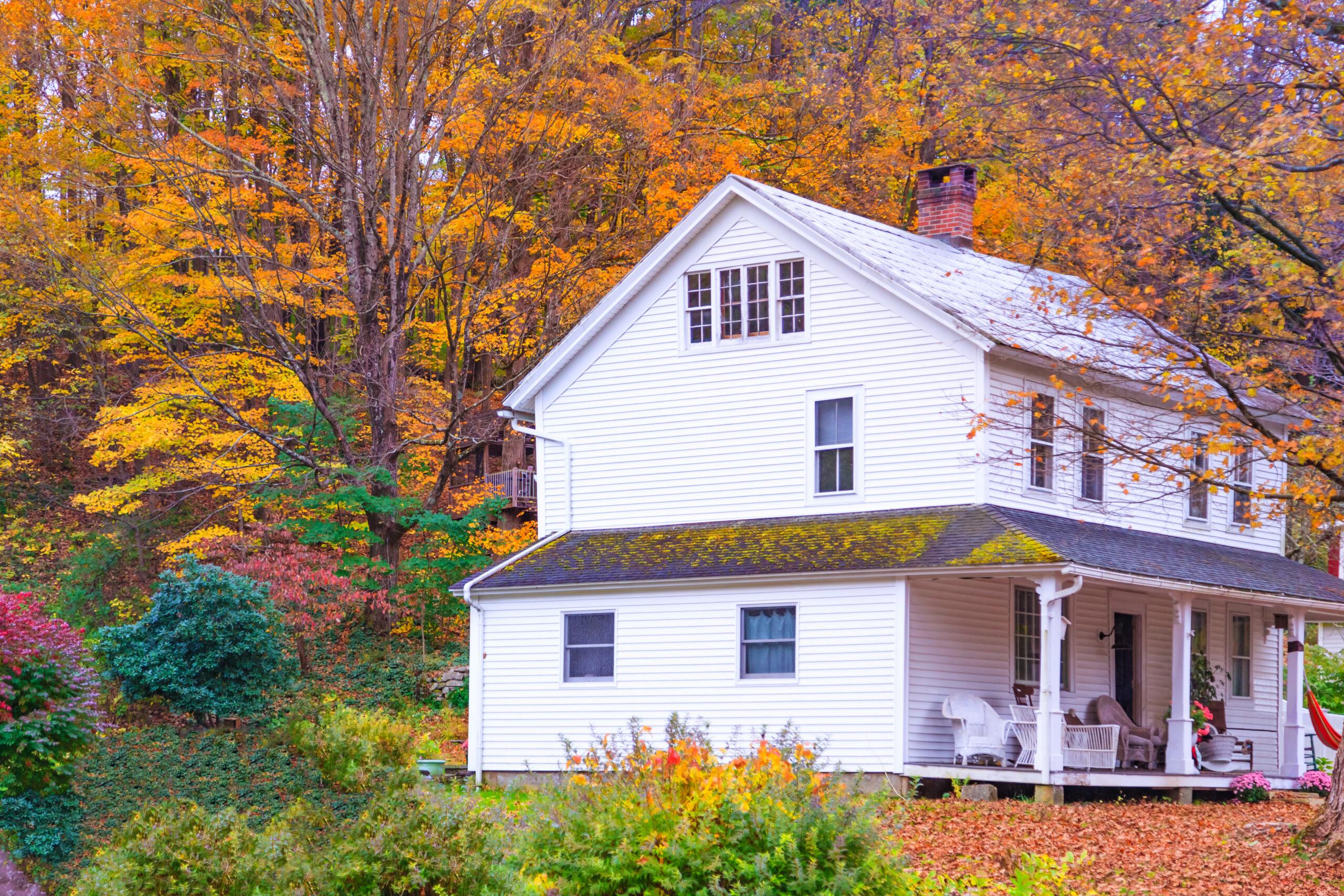 A rural cottage among trees