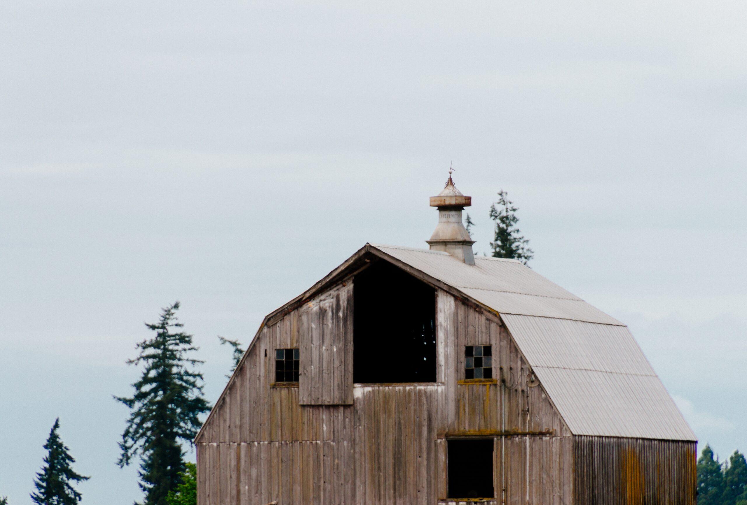 A farmhouse and outbuildings