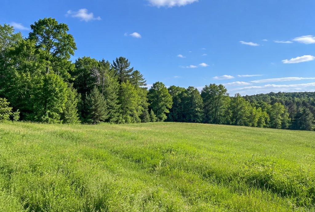 Open land parcel in rural Massachusetts